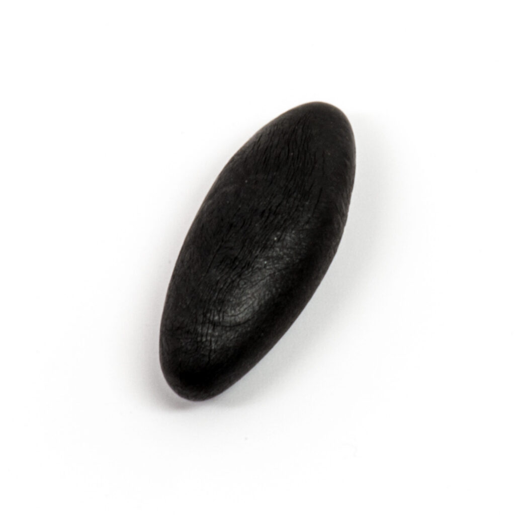 Shilajit capsule 